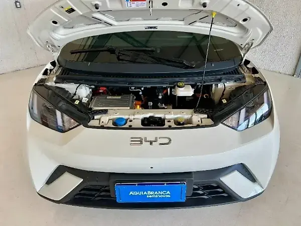 BYD Dolphin Mini - Imagem 10