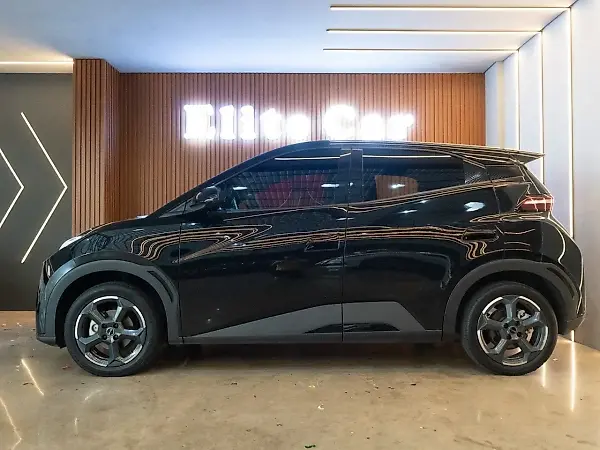 BYD Dolphin Mini - Imagem 2