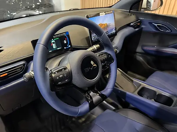 BYD Dolphin Mini - Imagem 9