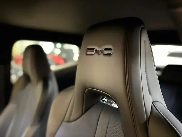BYD Dolphin Mini - Imagem 14