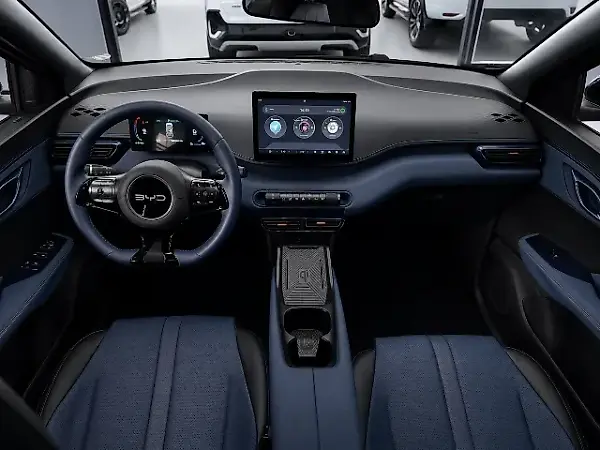 BYD Dolphin Mini - Imagem 11