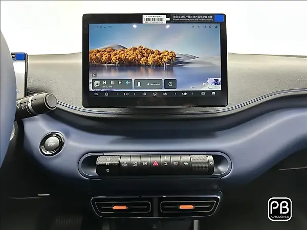 BYD Dolphin Mini - Imagem 13