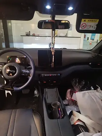BYD Dolphin Mini - Imagem 13