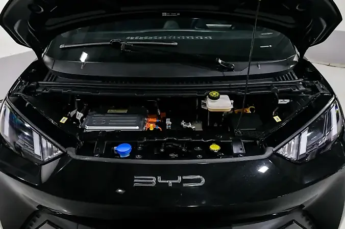 BYD Dolphin Mini - Imagem 6