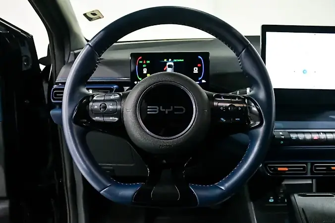 BYD Dolphin Mini - Imagem 15