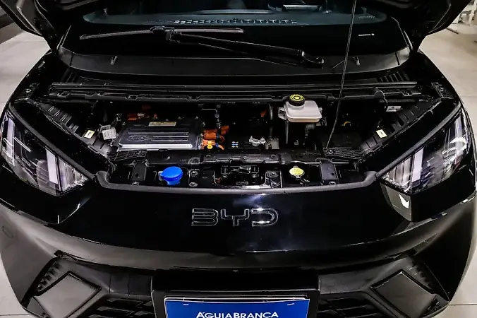 BYD Dolphin Mini - Imagem 6