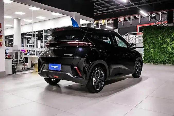 BYD Dolphin Mini - Imagem 10