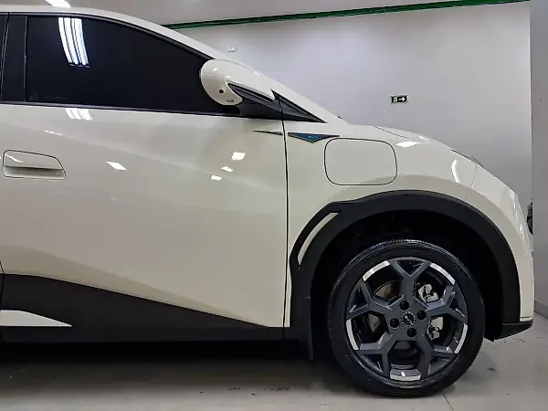 BYD Dolphin Mini - Imagem 12