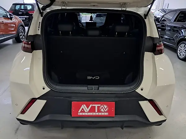 BYD Dolphin Mini - Imagem 19