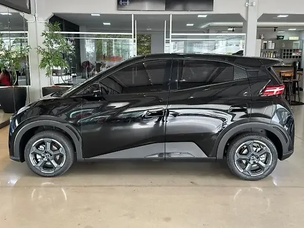 BYD Dolphin Mini - Imagem 10
