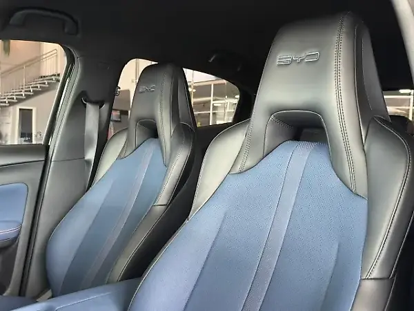 BYD Dolphin Mini - Imagem 16