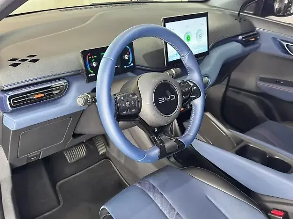 BYD Dolphin Mini - Imagem 13