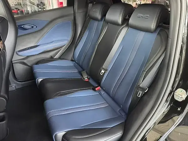 BYD Dolphin Mini - Imagem 18