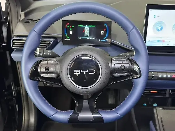 BYD Dolphin Mini - Imagem 20