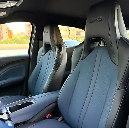 BYD Dolphin Mini - Imagem 10