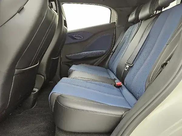 BYD Dolphin Mini - Imagem 12