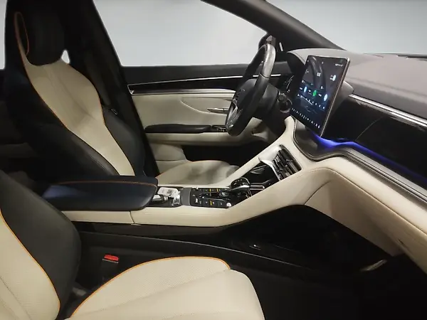BYD Song Plus - Imagem 15