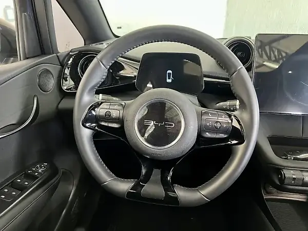 BYD Dolphin Plus - Imagem 15