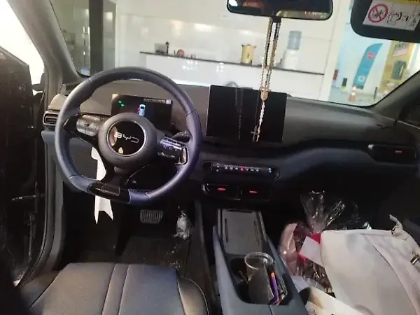 BYD Dolphin Mini - Imagem 7