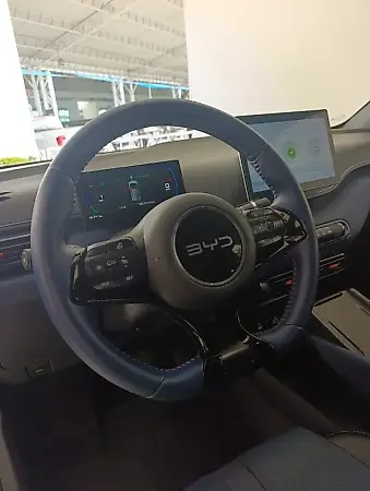 BYD Dolphin Mini - Imagem 9