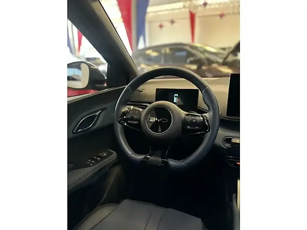 BYD Dolphin Mini - Imagem 10