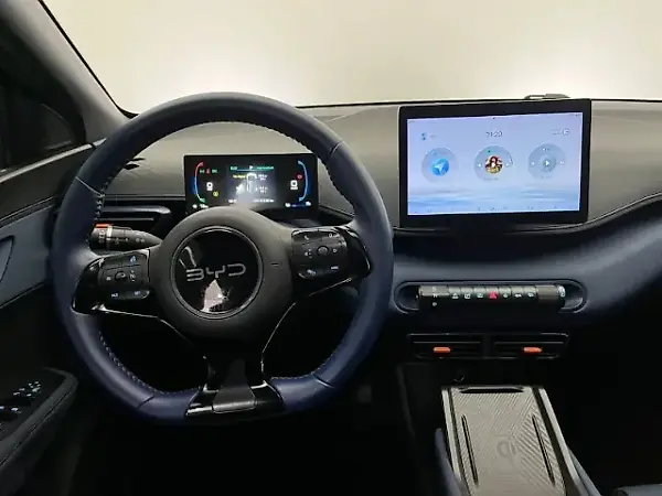 BYD Dolphin Mini - Imagem 11