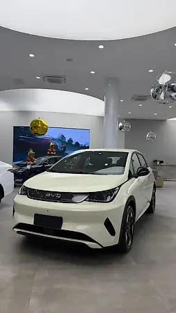 BYD Dolphin Plus - Imagem 1