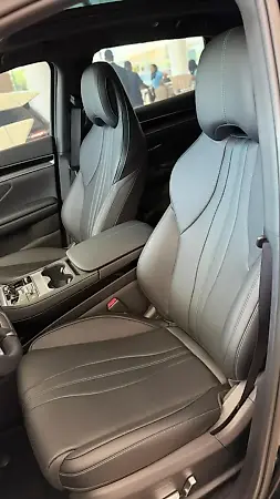 BYD Dolphin Plus - Imagem 3