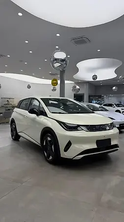 BYD Dolphin Plus - Imagem 5
