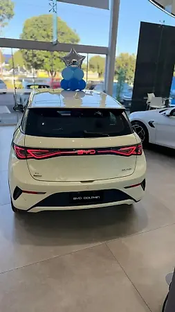 BYD Dolphin Plus - Imagem 10