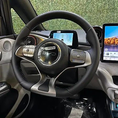 BYD Dolphin - Imagem 14