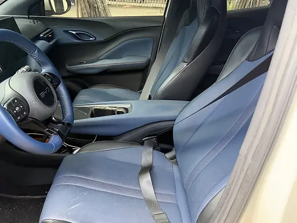 BYD Dolphin Mini - Imagem 8