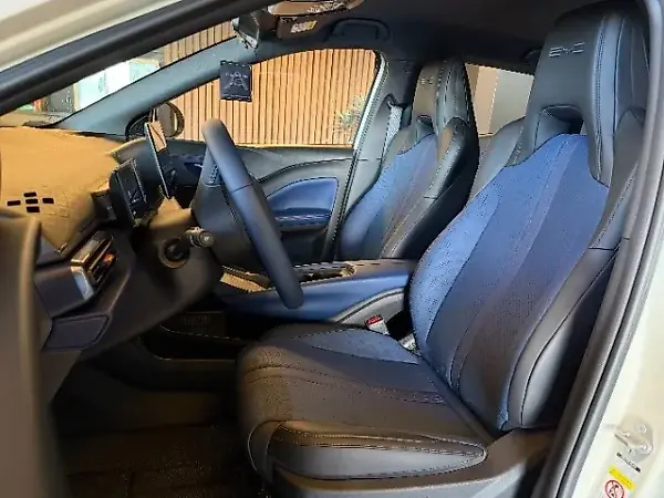 BYD Dolphin Mini - Imagem 12
