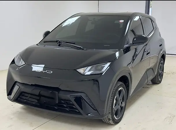 BYD Dolphin Mini - Imagem 1