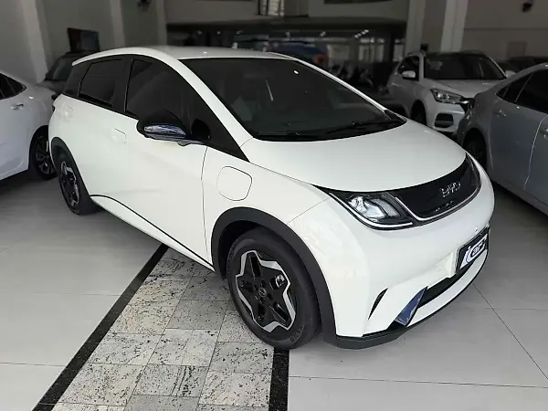 BYD Dolphin Plus - Imagem 1