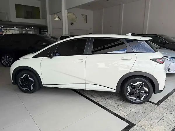 BYD Dolphin Plus - Imagem 6
