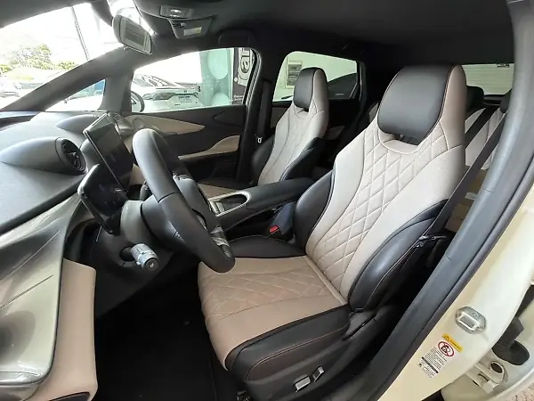 BYD Dolphin Plus - Imagem 11