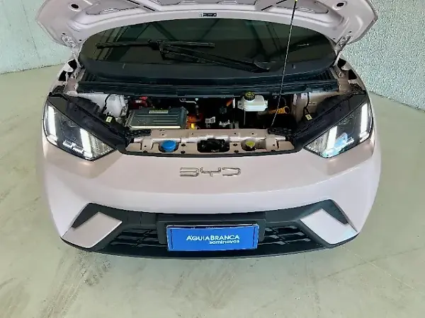 BYD Dolphin Mini - Imagem 7