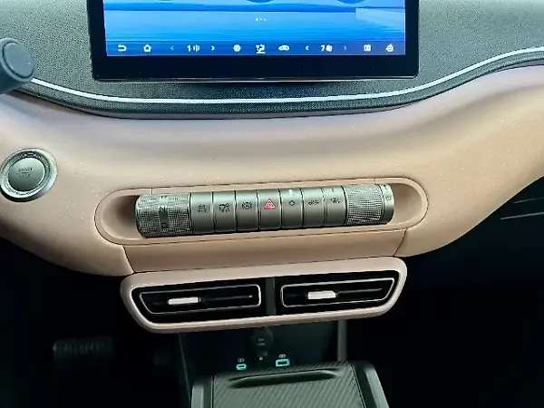 BYD Dolphin Mini - Imagem 14