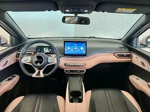 BYD Dolphin Mini - Imagem 16