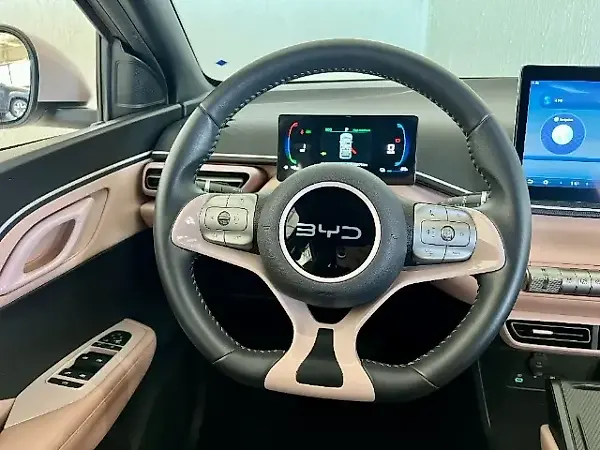BYD Dolphin Mini - Imagem 15