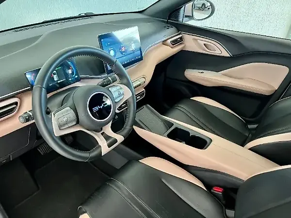 BYD Dolphin Mini - Imagem 17