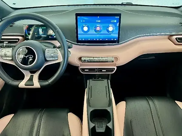 BYD Dolphin Mini - Imagem 19