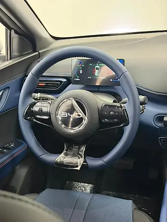 BYD Dolphin Mini - Imagem 5