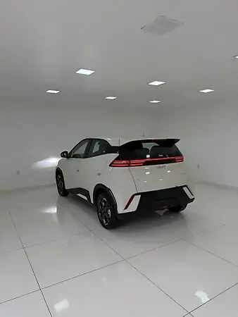 BYD Dolphin Mini - Imagem 14