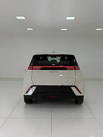 BYD Dolphin Mini - Imagem 13