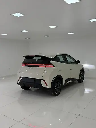 BYD Dolphin Mini - Imagem 15