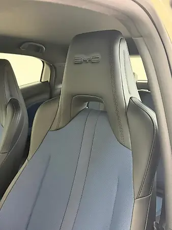 BYD Dolphin Mini - Imagem 16