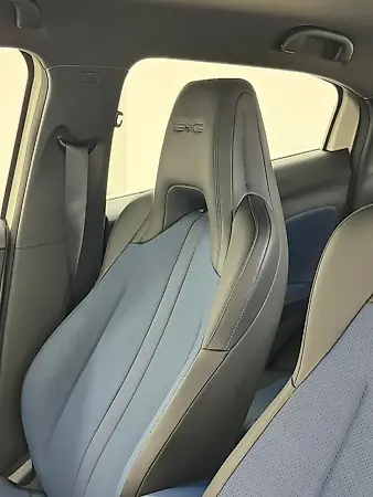 BYD Dolphin Mini - Imagem 18