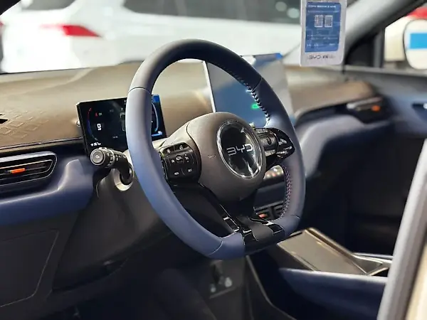 BYD Dolphin Mini - Imagem 19